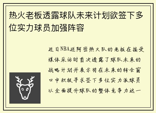 热火老板透露球队未来计划欲签下多位实力球员加强阵容